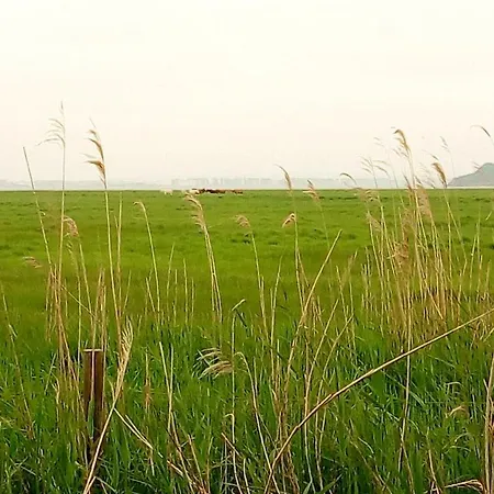 公寓 Le Ras D'eau A *